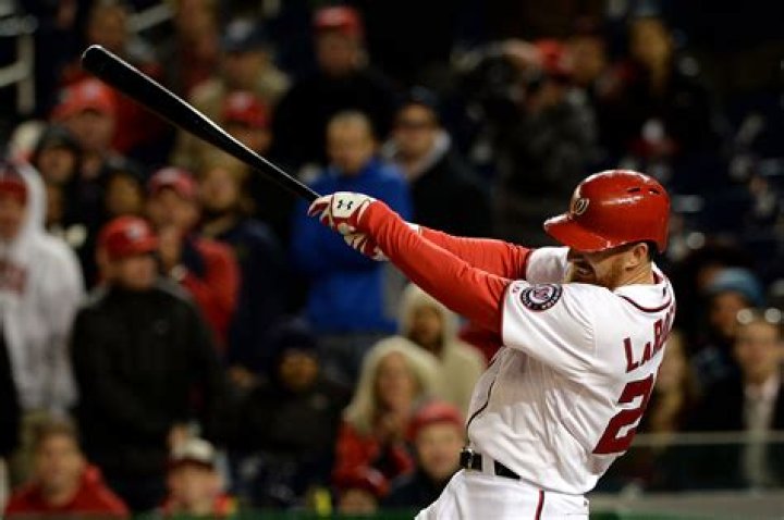 Adam LaRoche Net Worth | Celebrity Net Worth