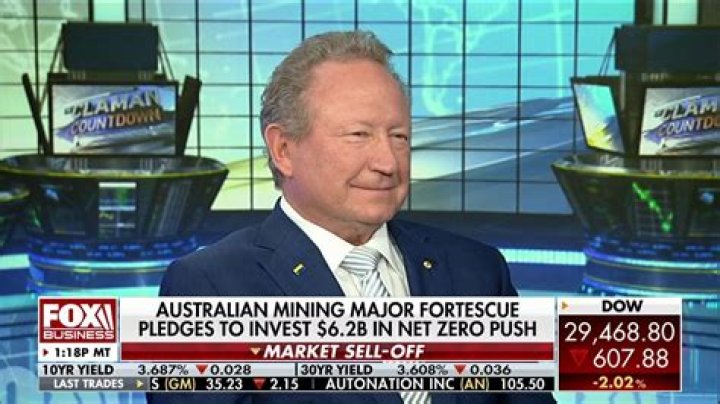 Australian Billionaire Andrew Forrest Pledges Almost $50 Million To Fire Relief