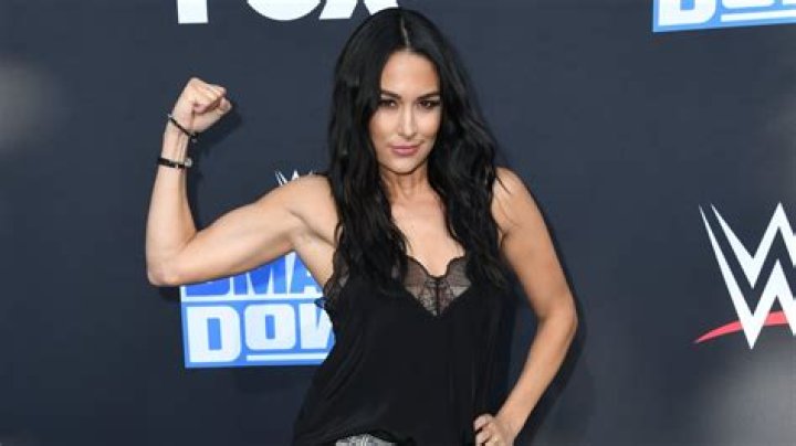 Brie Bella Net Worth | Celebrity Net Worth