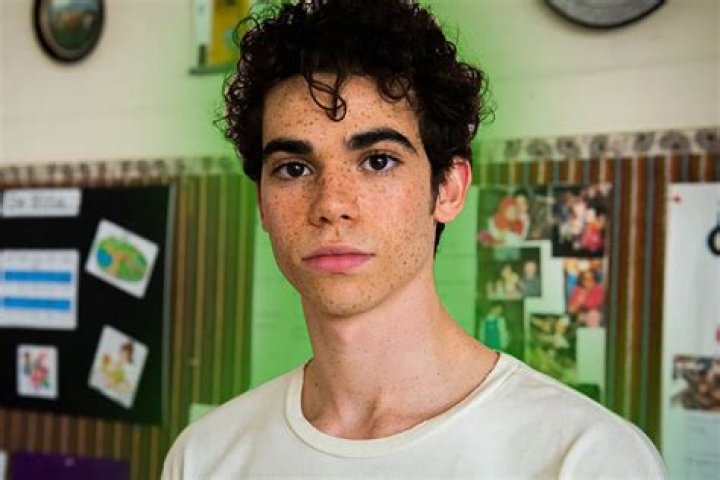 Cameron Boyce Net Worth | Celebrity Net Worth
