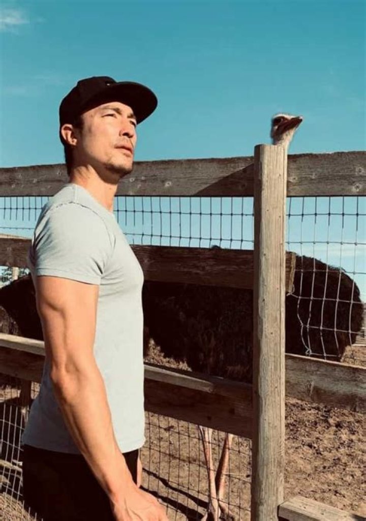 Daniel Henney Net Worth | Celebrity Net Worth