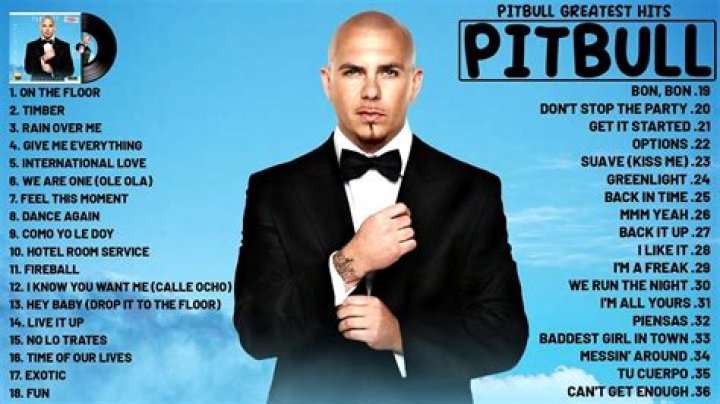 Florida's Tourism Department Paid Pitbull $1 Million To Promote The State In Music Video