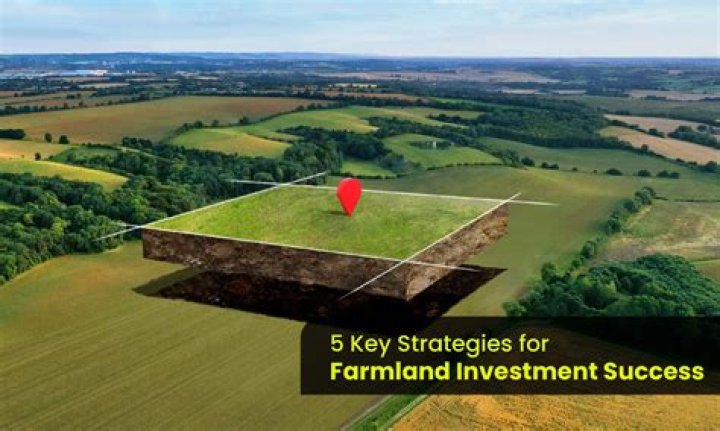 Former Financiers Turn To Farmland Investment And Manage $575 Million