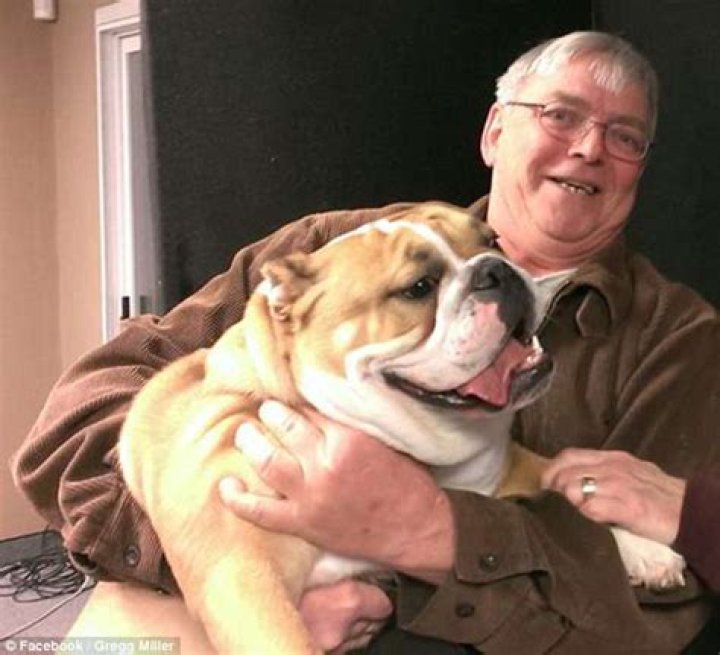 This Guy Became A Multi-Millionaire Thanks To.... Fake Dog Testicles