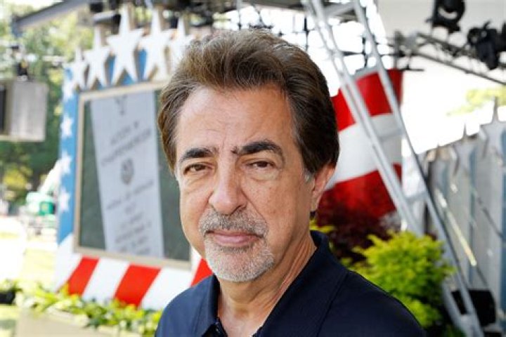 Joe Mantegna Net Worth | Celebrity Net Worth