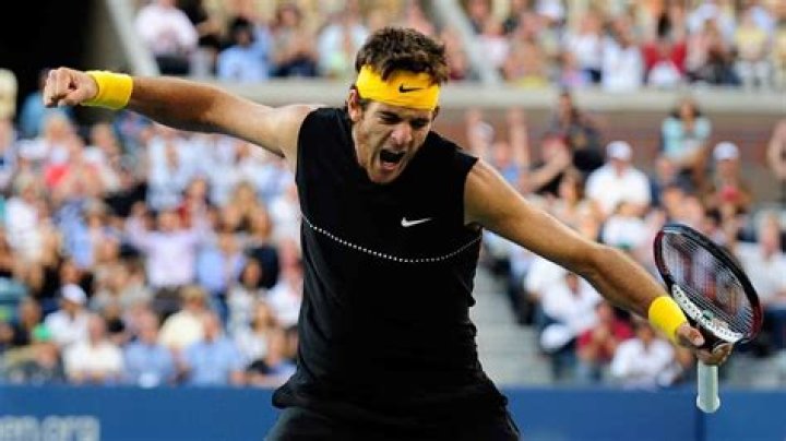 Juan Martín del Potro Net Worth