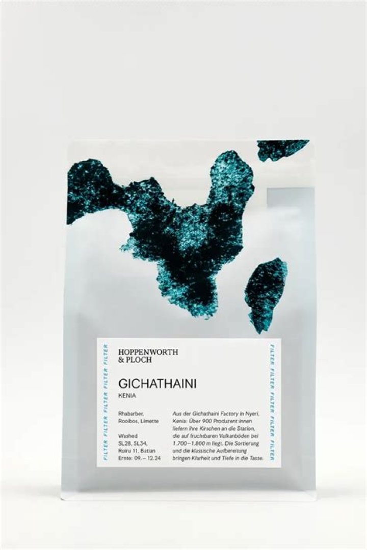 Matthias Schoenaerts Net Worth | Celebrity Net Worth