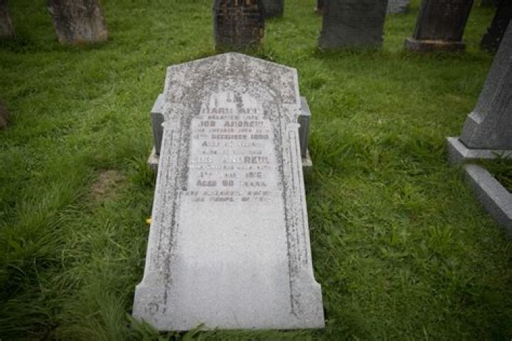 Michael Birch Net Worth | Celebrity Net Worth