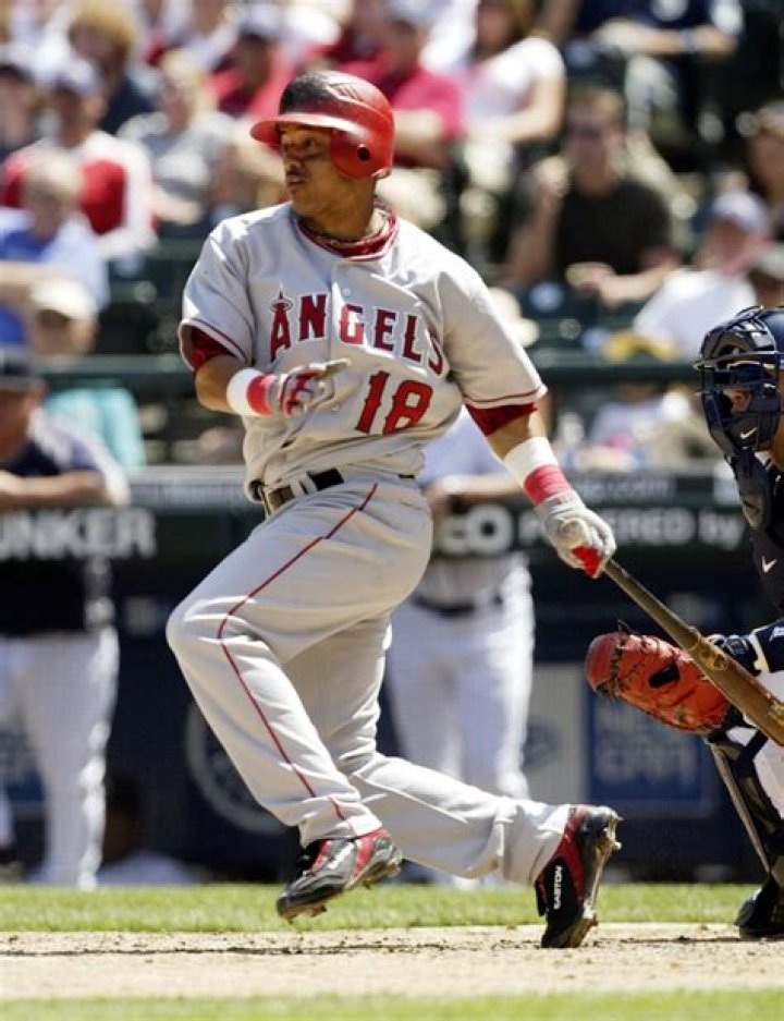 Orlando Cabrera Net Worth | Celebrity Net Worth