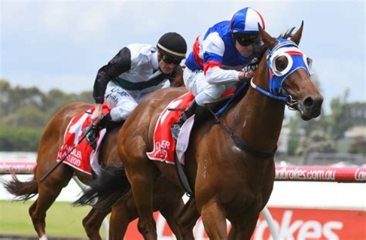 Ryan Moloney Net Worth | Celebrity Net Worth