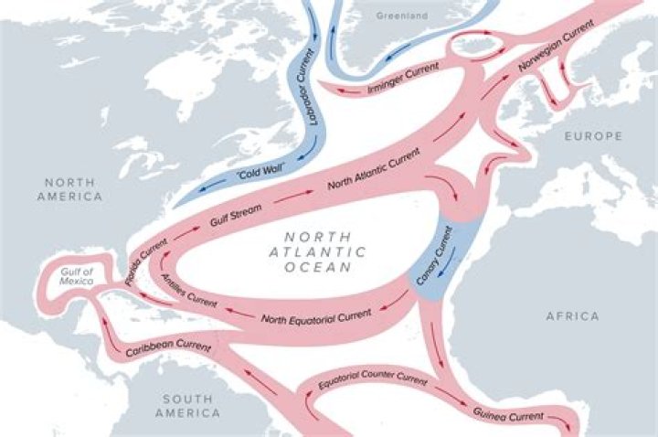 Tidal Is Reportedly Out Of Cash And On The Verge Of Failure