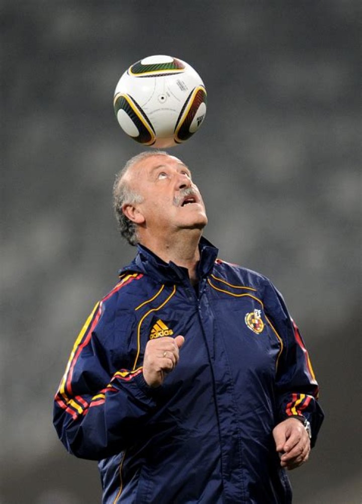 Vicente del Bosque Net Worth