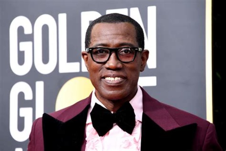 Wesley Snipes Net Worth | Celebrity Net Worth