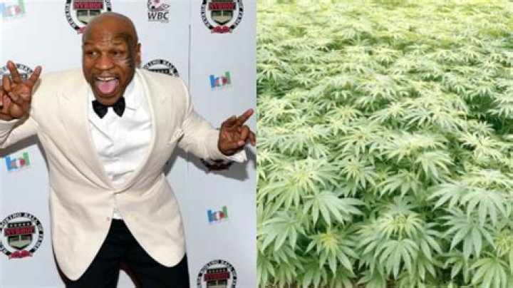 This Former NBA Player Is Starting His Own Marijuana Business!